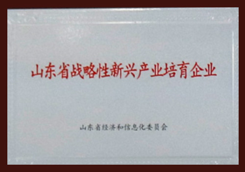 Perusahaan Baru yang Didukung Strategis Provinsi Shandong